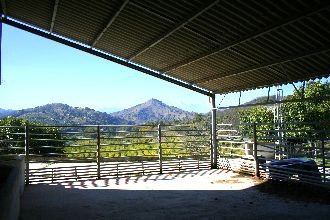 04 photo