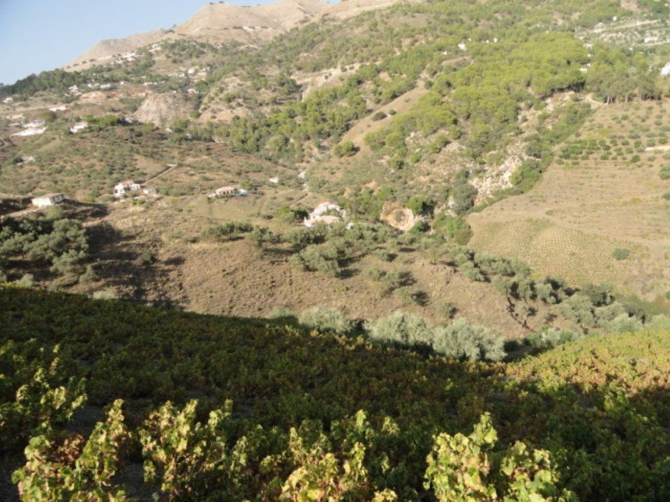 03 photo