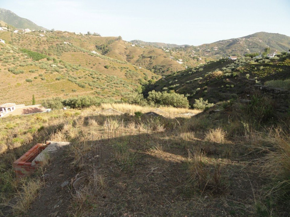 04 photo