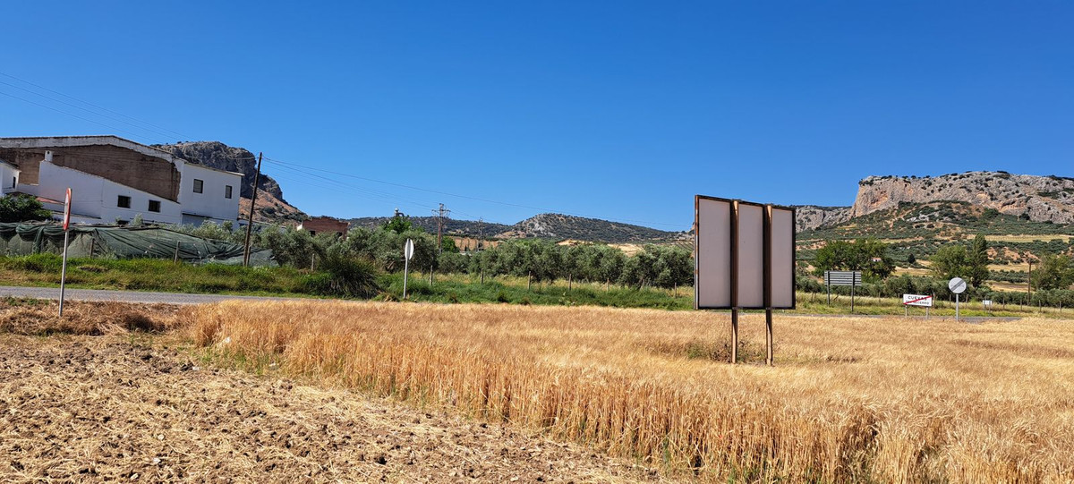 Landelijk gebied met berglandschap op de achtergrond.