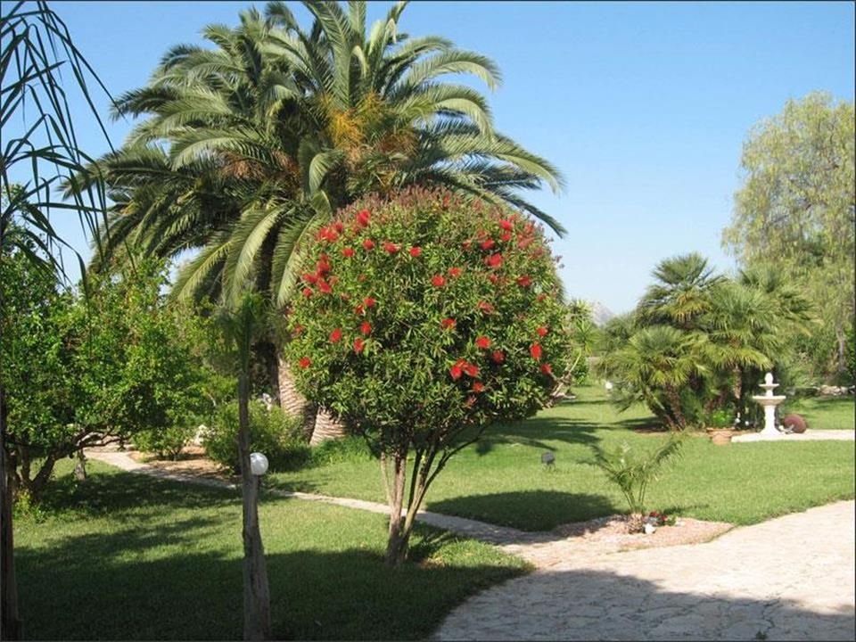 08 photo