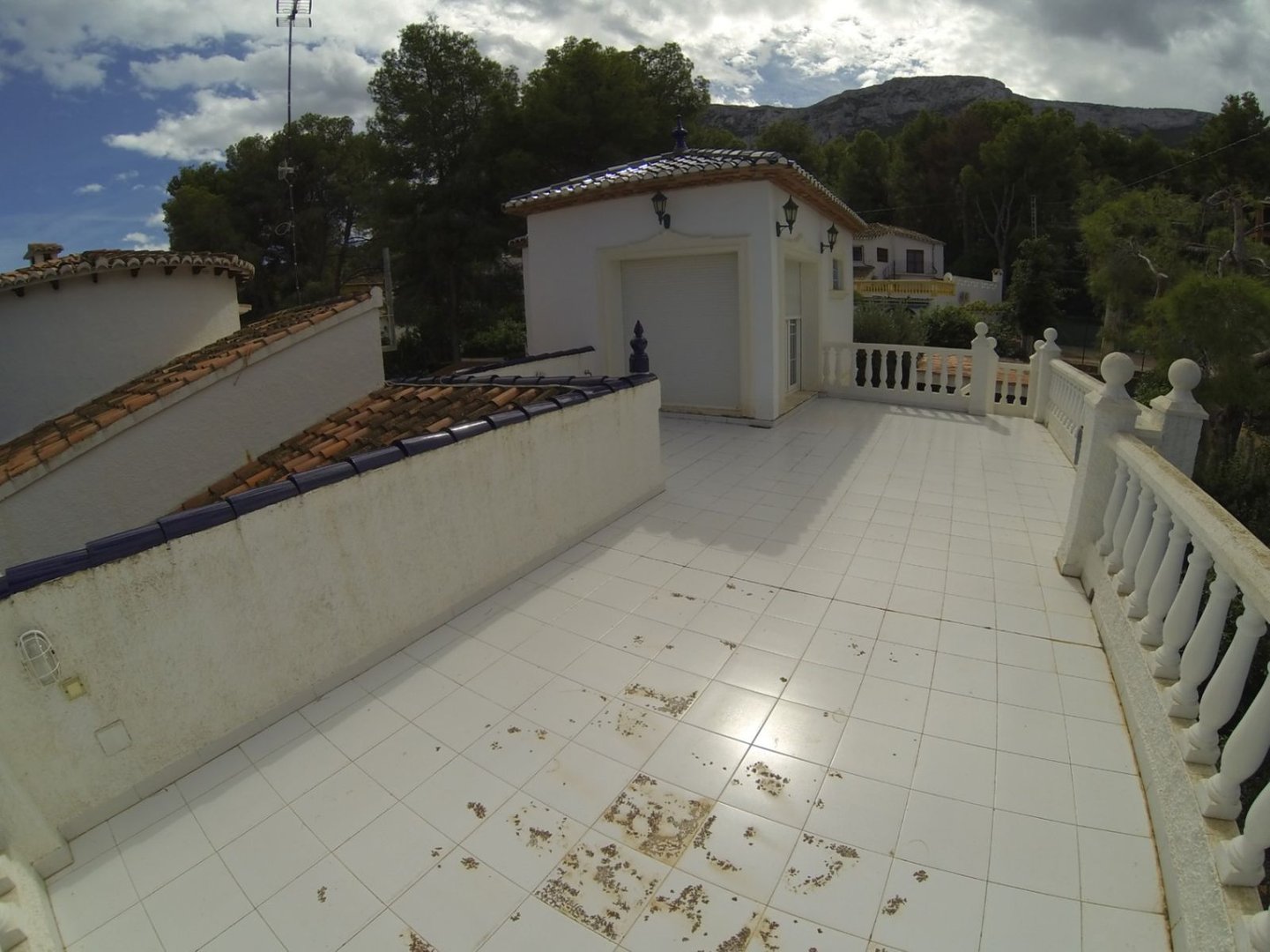 05 photo