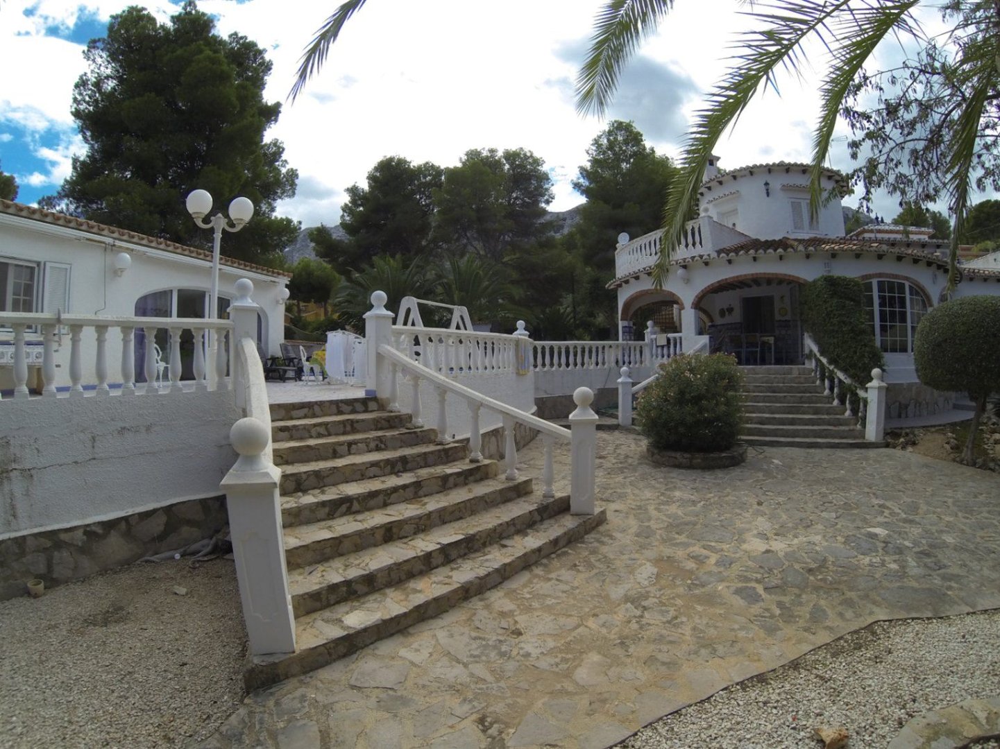 07 photo