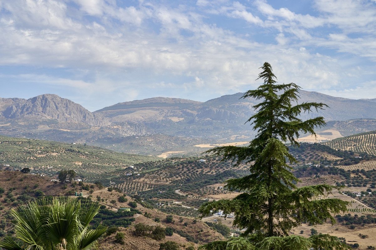 14 photo