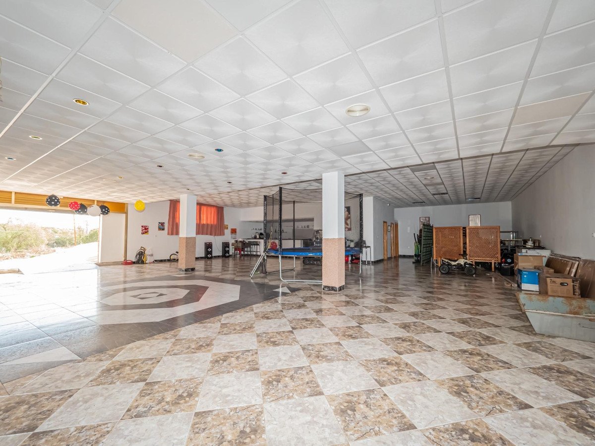 Large, open indoor space with a checkered tiled floor, a trampoline, and tall windows leading to an outdoor area.