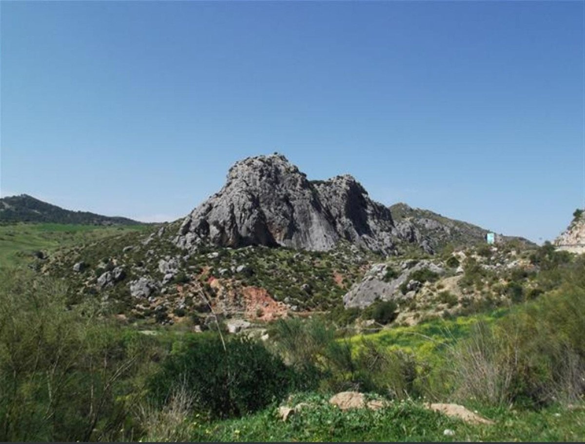 02 photo