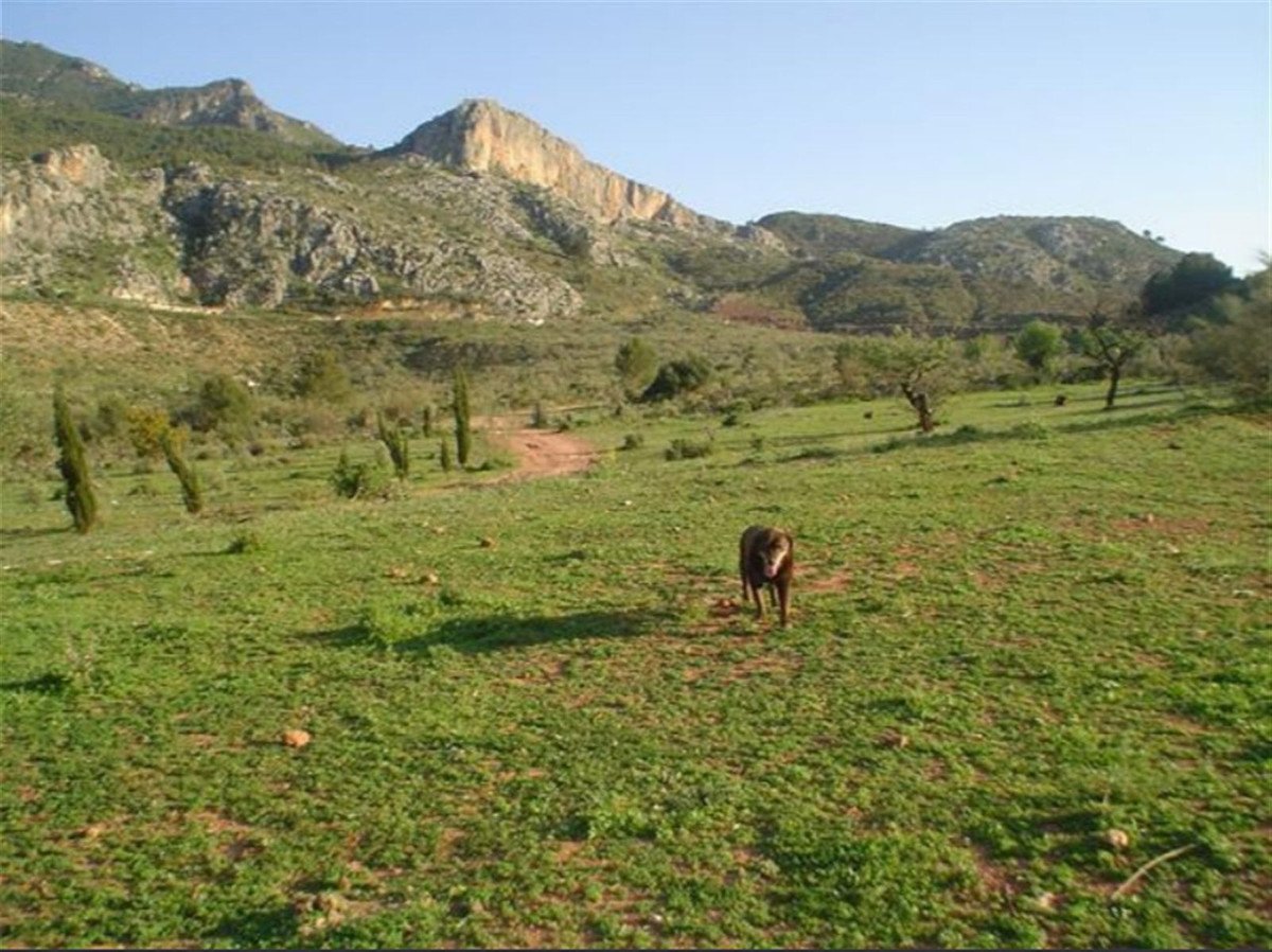 3 Bed Wooden House in Ardales in Ardales, Wooden House