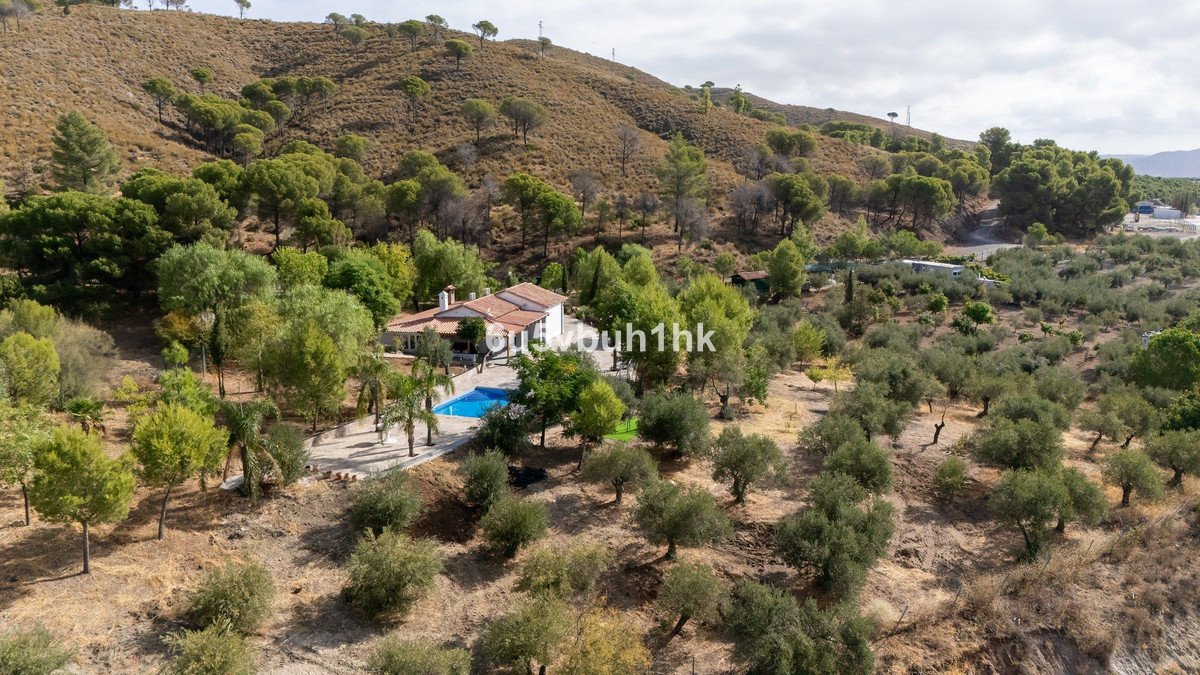 A detached villa with a swimming pool is surrounded by lush olive trees and Mediterranean vegetation, set against a hilly landscape.