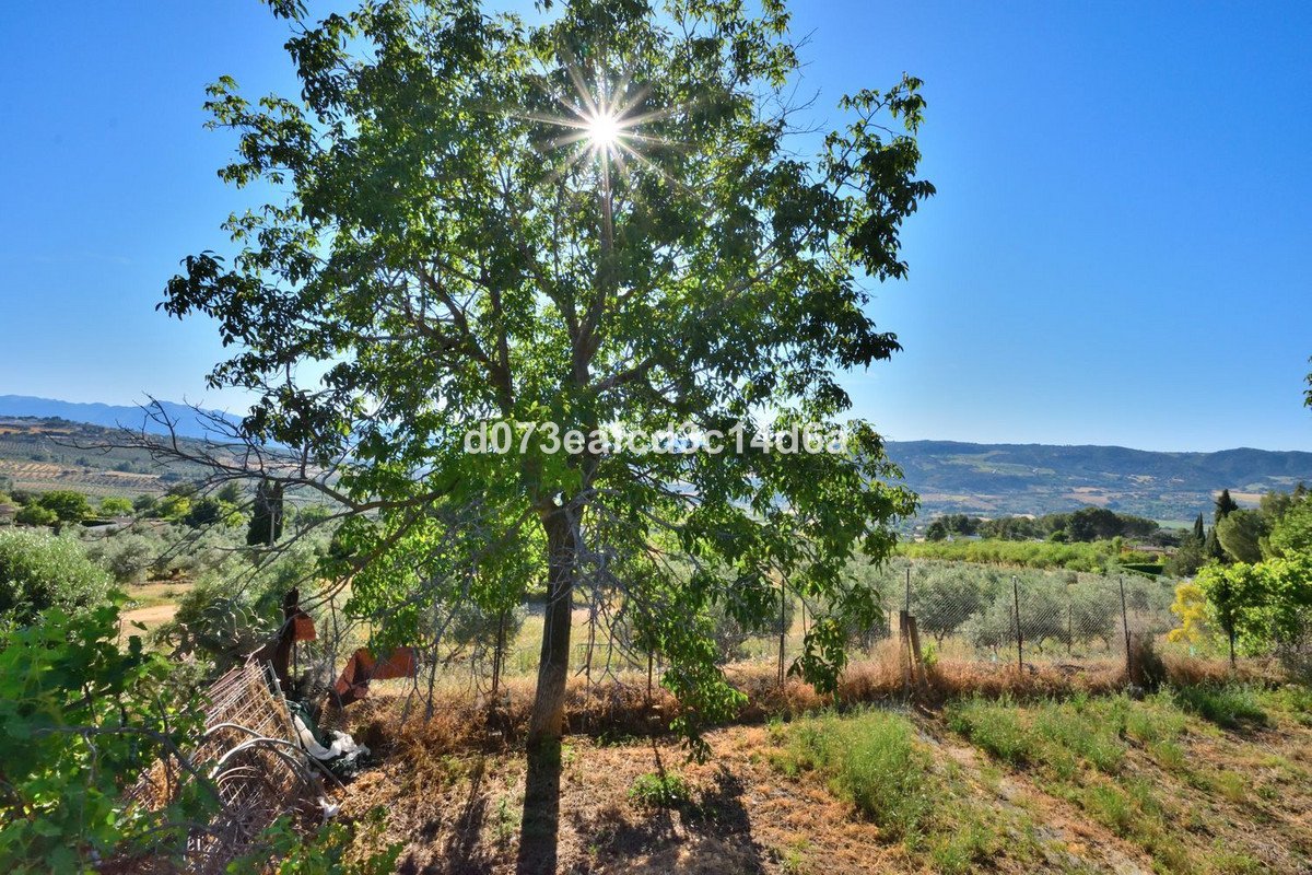 3 Bed Finca - Cortijo in Ronda in Ronda, Finca - Cortijo