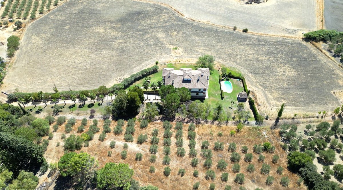 Aerial view of a large villa with a swimming pool, surrounded by olive groves and agricultural fields.