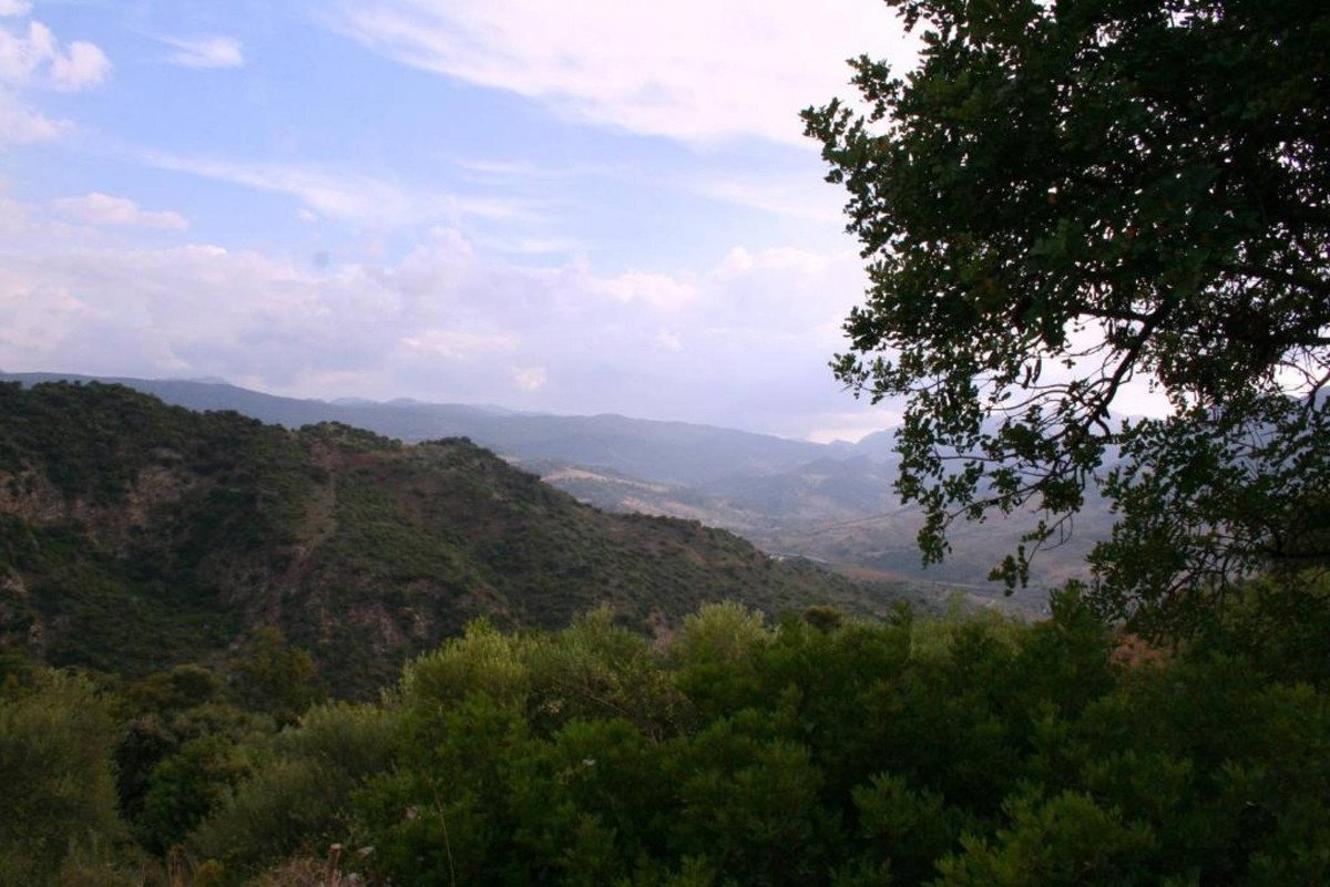 05 photo