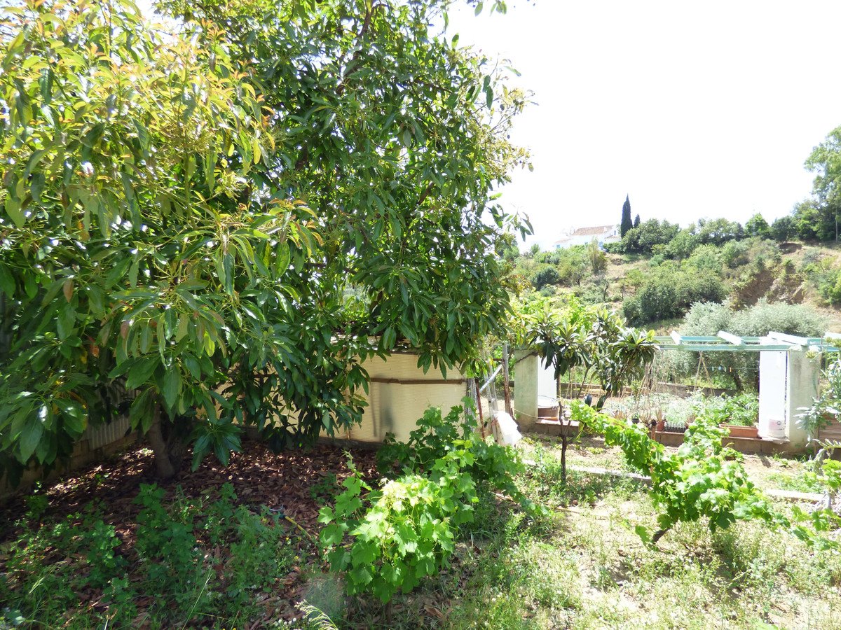 06 photo
