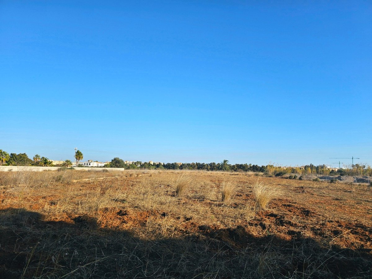 Land in Els Poblets in Els Poblets, Land
