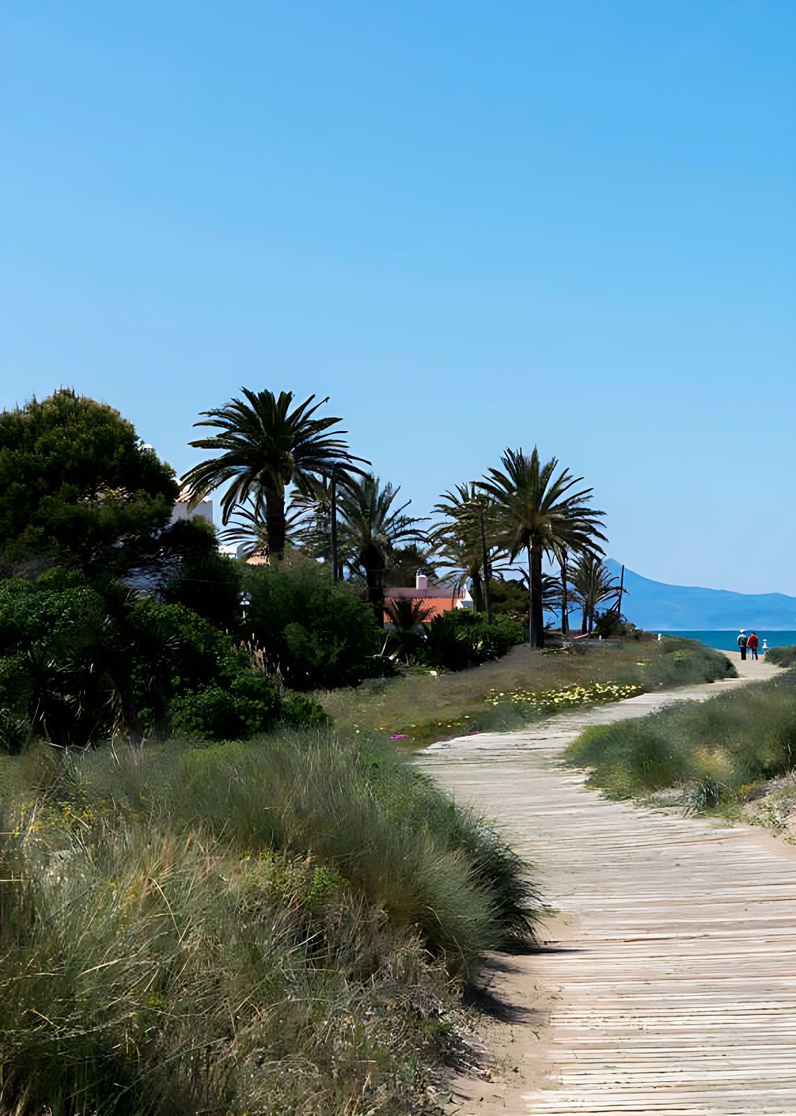 Houten pad naar het strand met palmbomen en wandelende mensen.