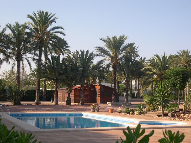 6 Bed Vilă individuală in Elche în Elche, Vilă Individuală