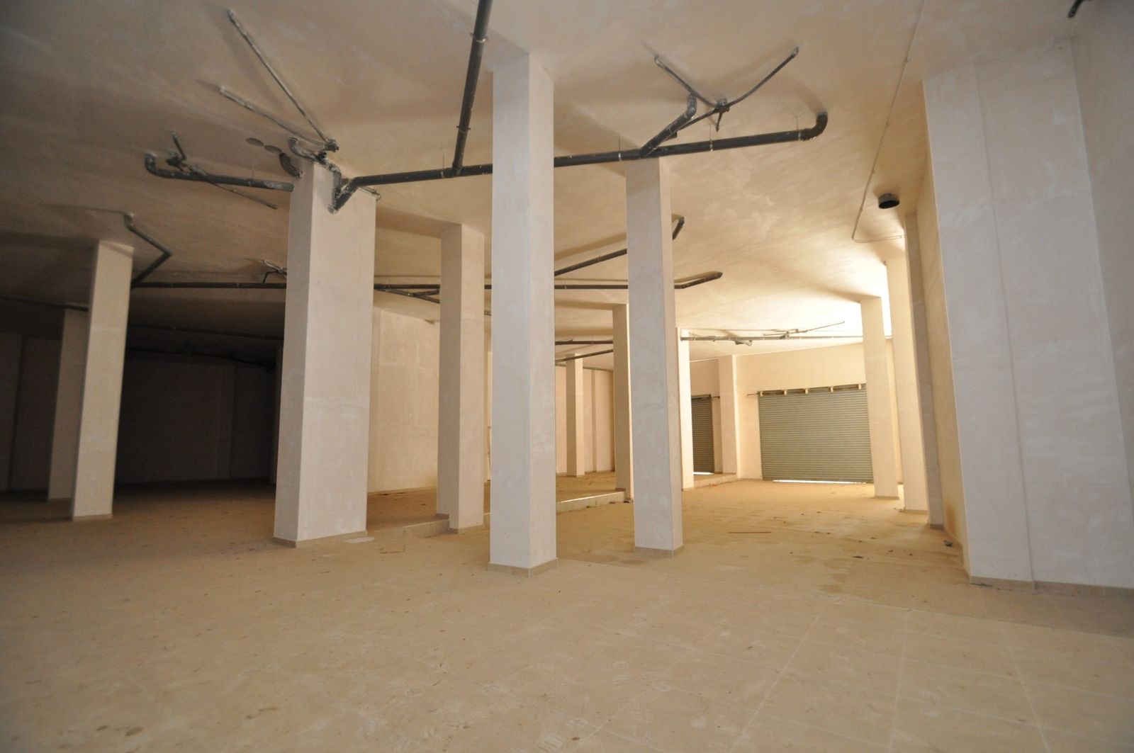 06 photo