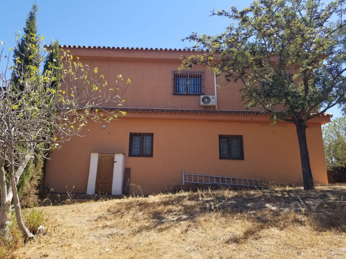 Oranje huis exterieur aanzicht met bomen en ladder, droog grasveld.