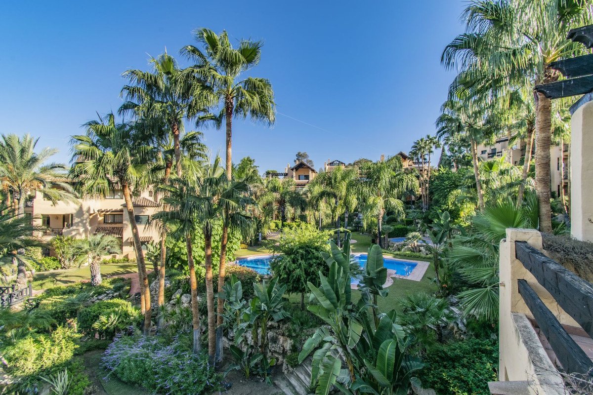 View from balcony of a tropical garden with a swimming pool, lush palm trees, and residential buildings.