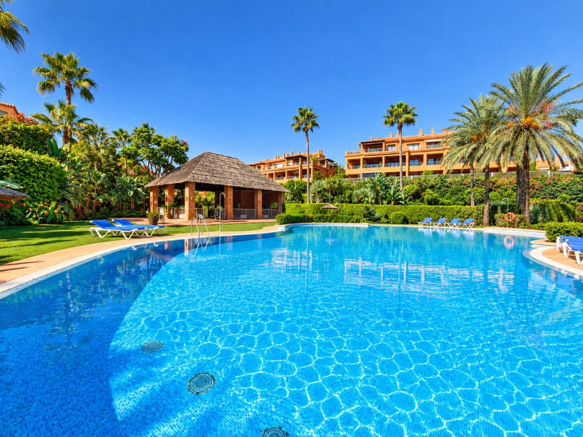 Resort swimming pool with palm trees, lounge chairs, and a thatched gazebo.
