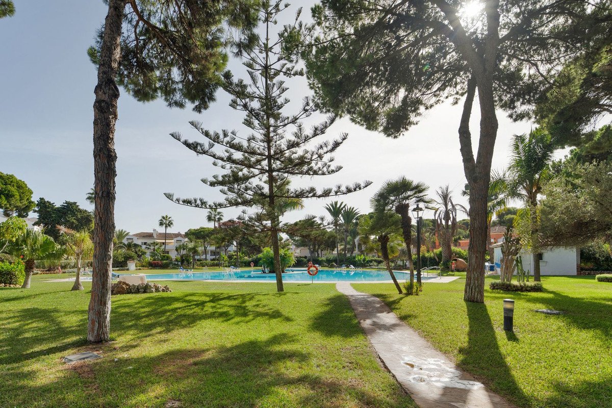 Resort swimming pool surrounded by lush green garden and trees