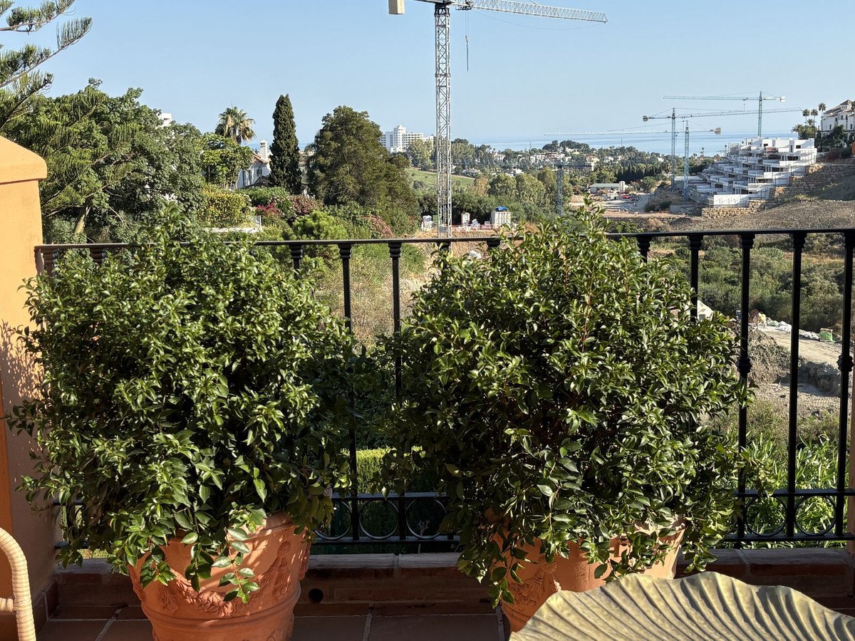 03 photo