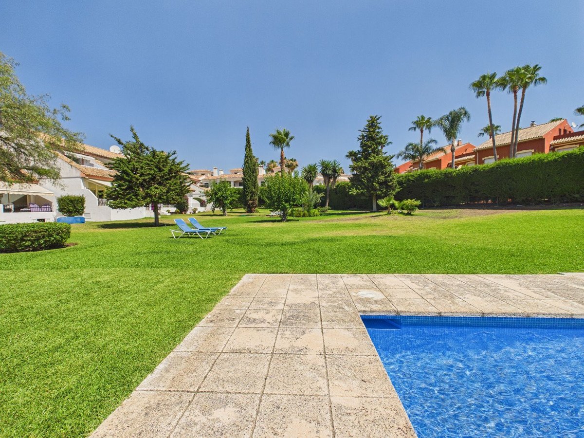 Swimming pool with sun loungers on a lush green lawn surrounded by palm trees