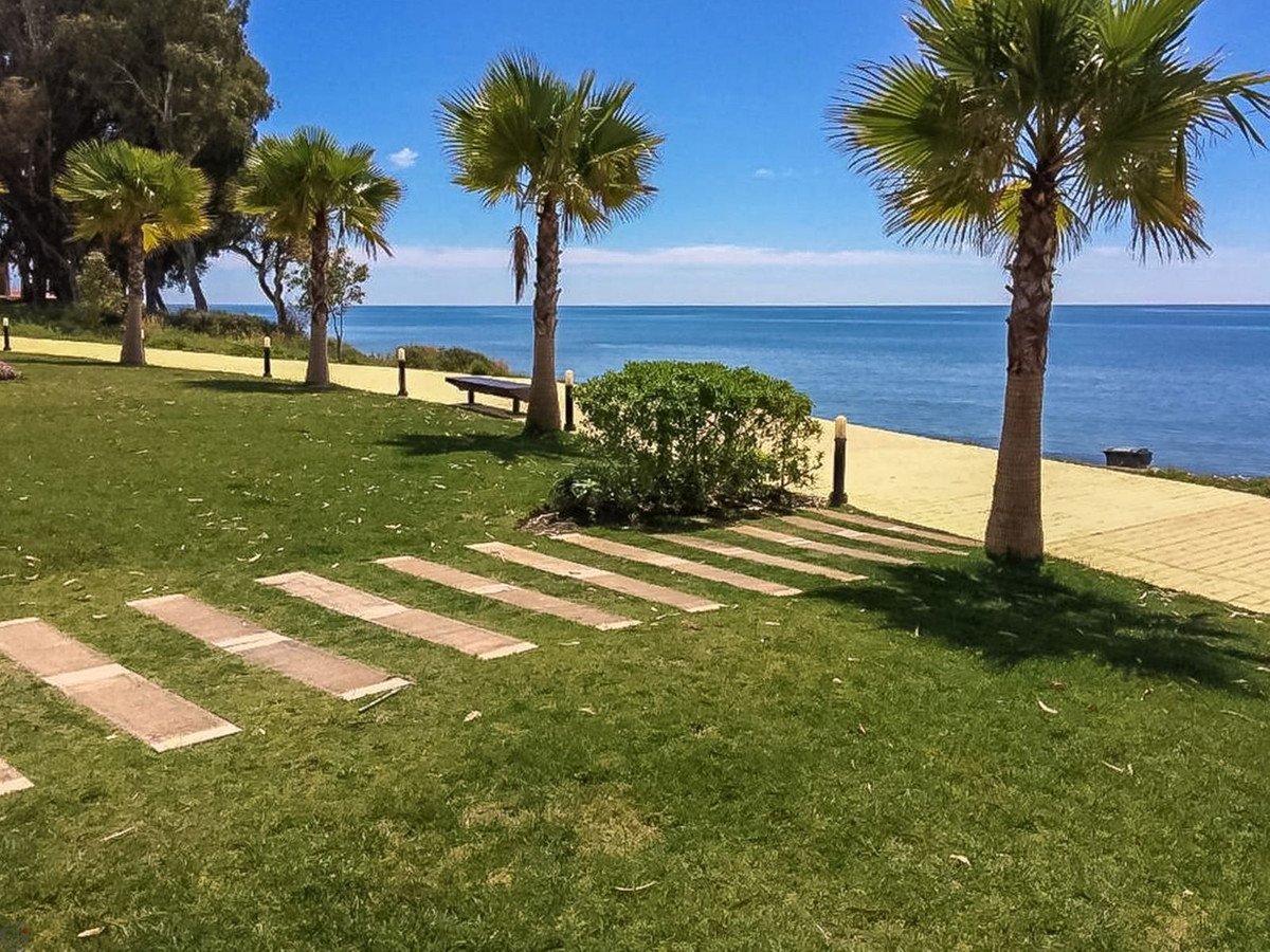 Beachside garden with palm trees and ocean view