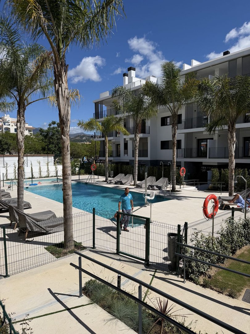 Modern swimming pool with lounge chairs and palm trees in front of a white apartment building
