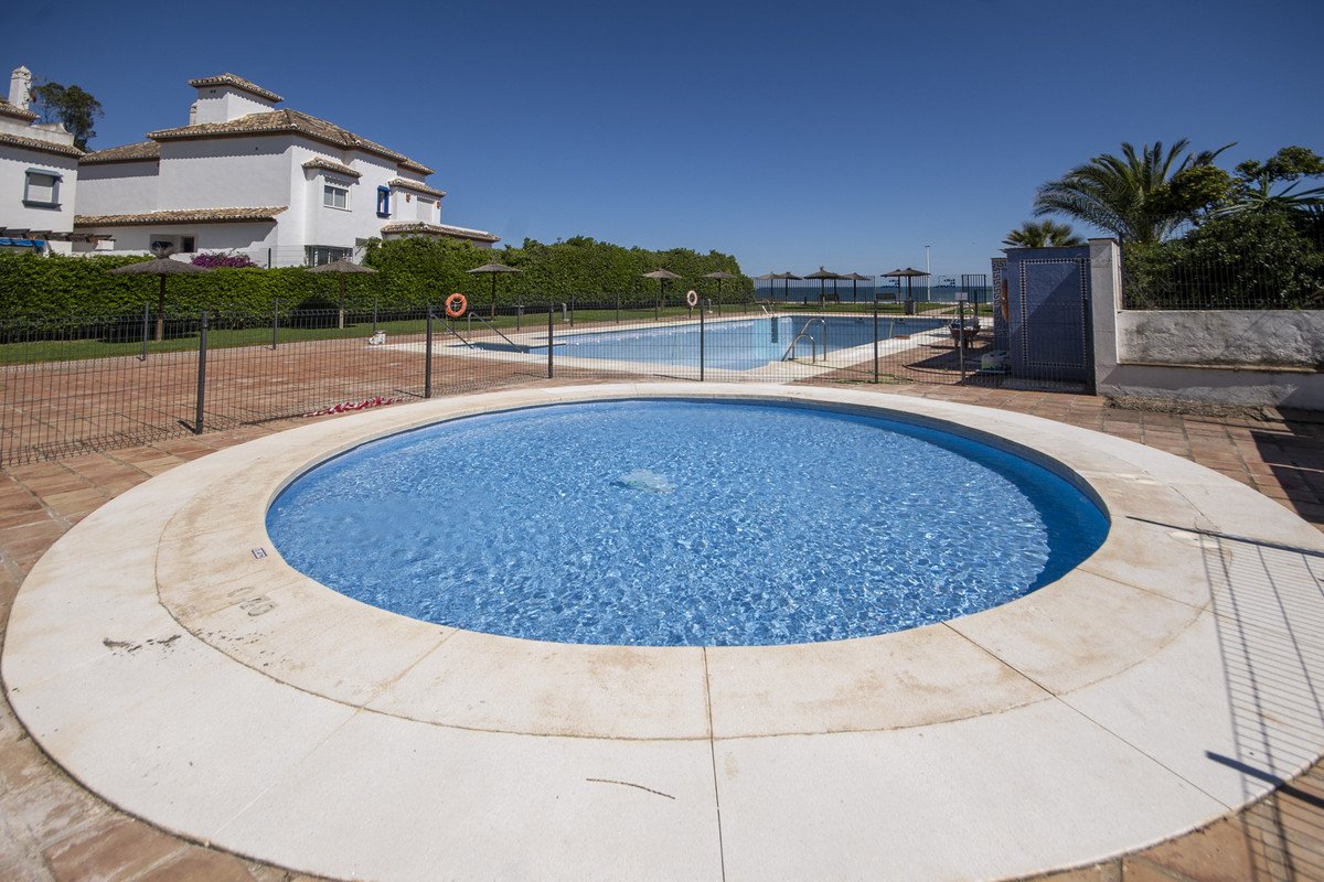 Circular swimming pool with a house and palm trees in the background