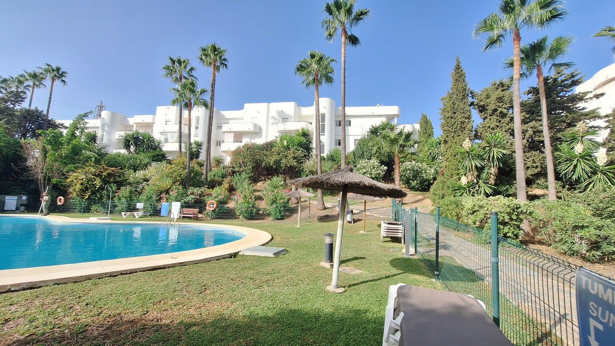 Outdoor swimming pool area with sun loungers, palm trees, and residential buildings in the background.