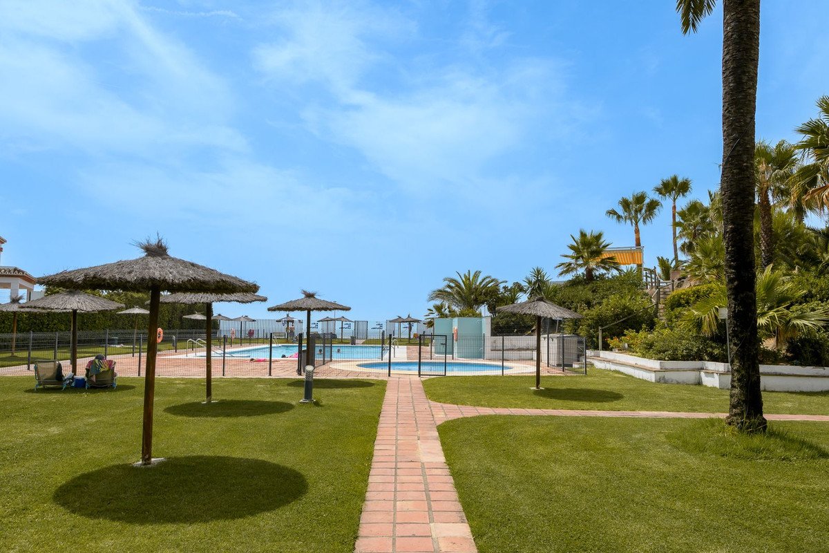 Outdoor swimming pool surrounded by lush green lawn and palm trees under a clear blue sky