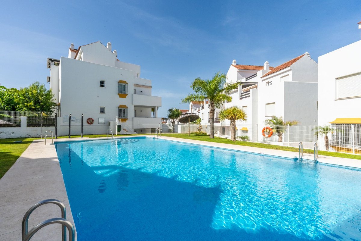 Modern swimming pool with white houses and palm trees in the background