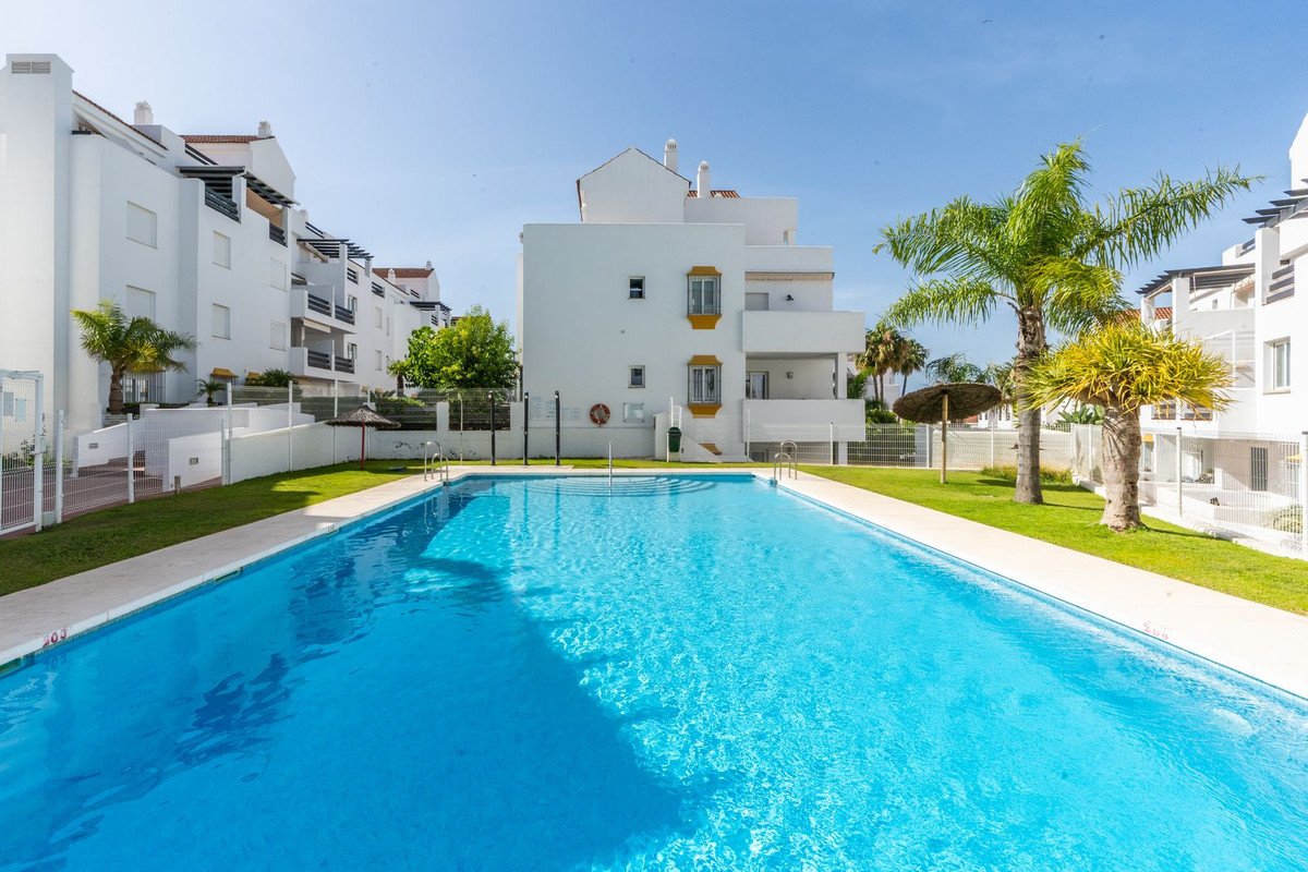 Swimming pool surrounded by white apartments and palm trees