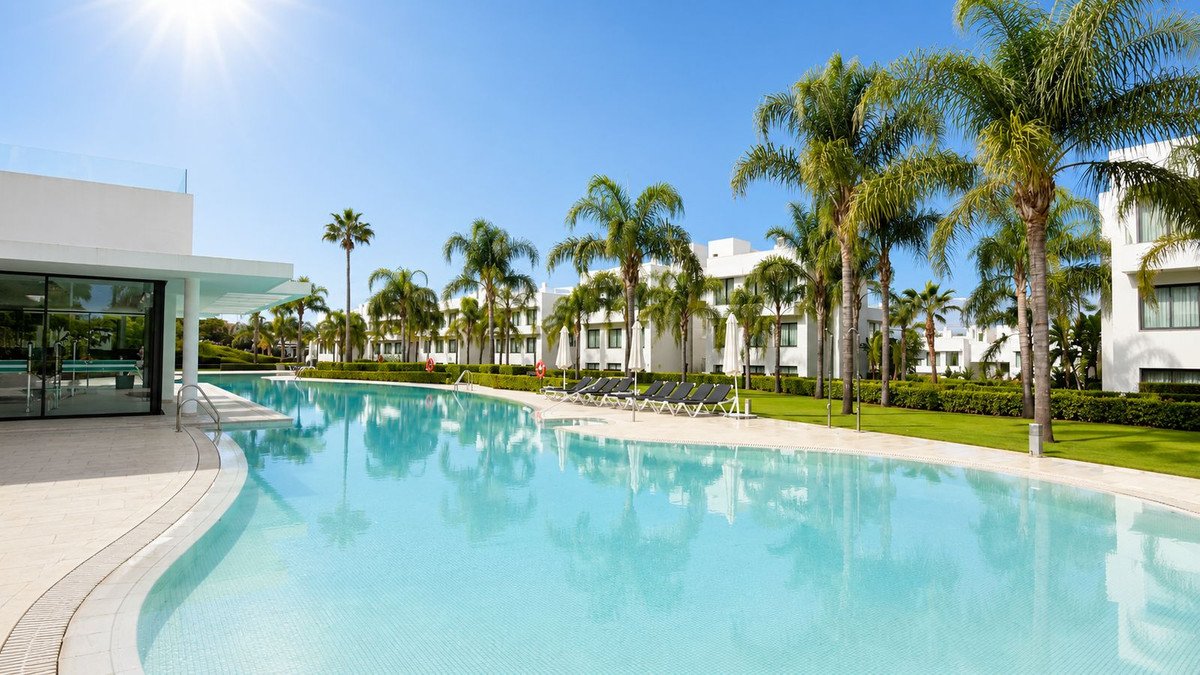 Resort pool area with lounge chairs and palm trees on a sunny day.