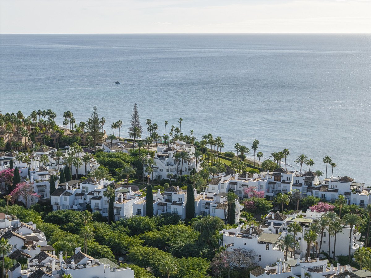 Coastal luxury homes with ocean view and palm trees