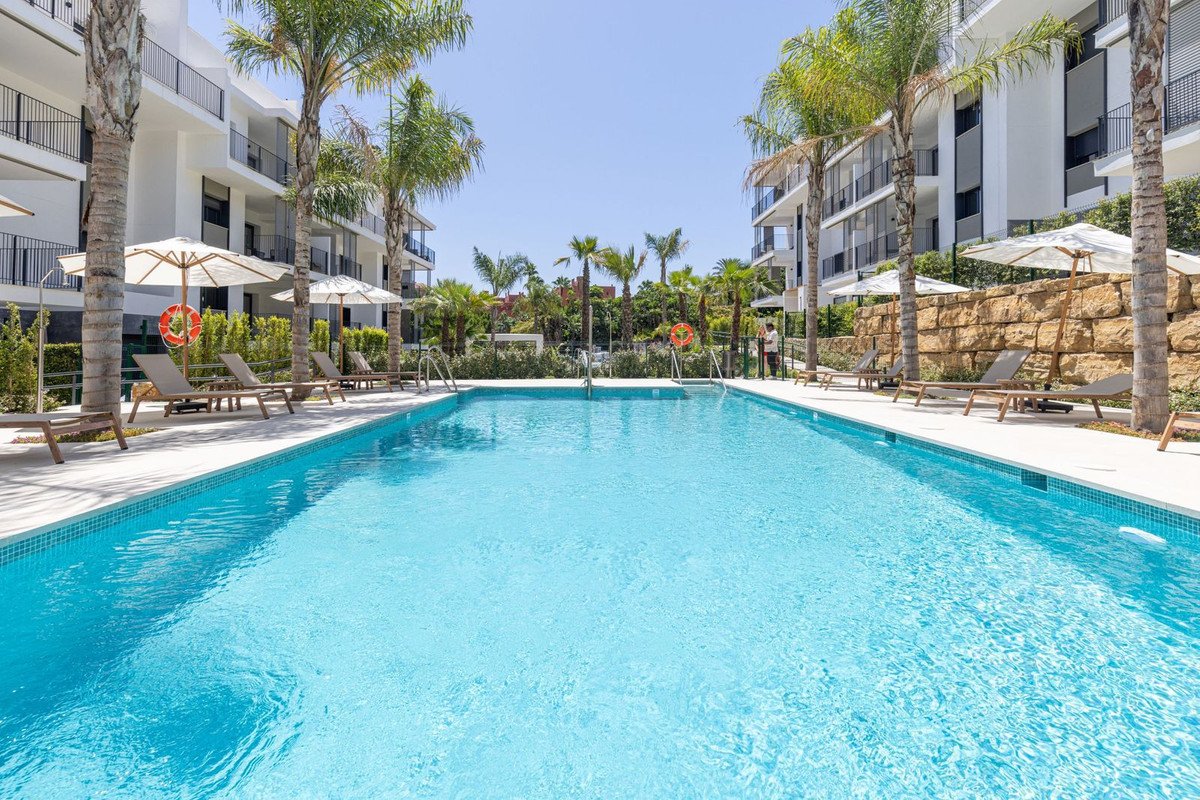 A long, clear blue swimming pool with lounge chairs and umbrellas on the side, surrounded by palm trees and modern white buildings.
