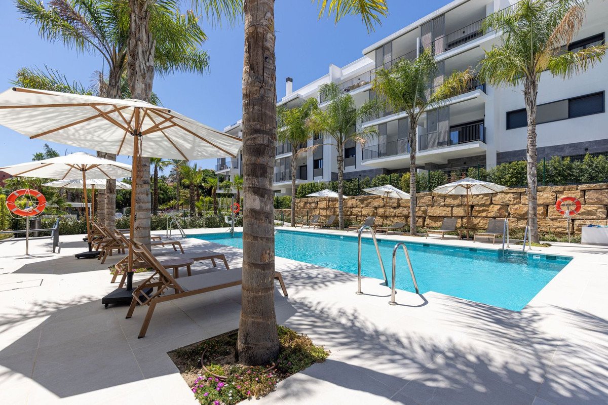 A resort-style swimming pool with lounge chairs and umbrellas, surrounded by palm trees and a modern building.