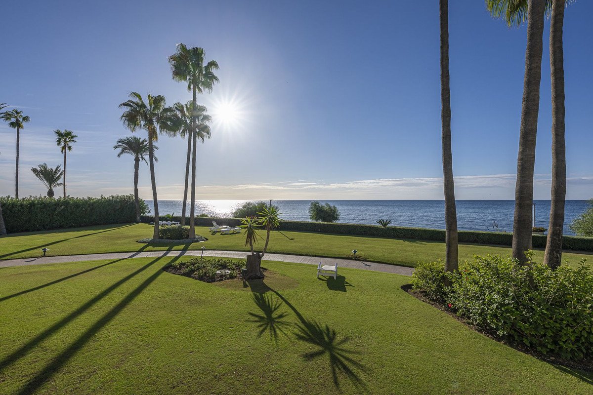 Sunlit garden with palm trees and ocean view