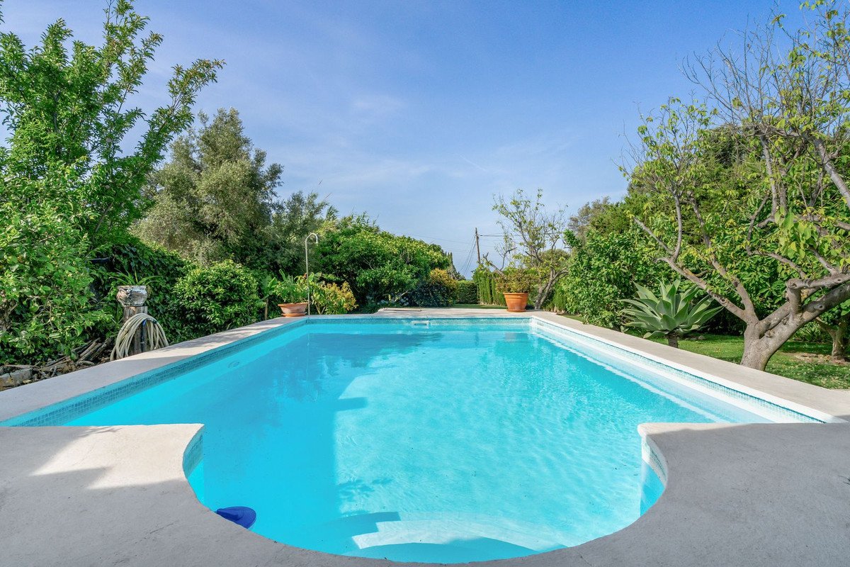 Rectangular pool with clear blue water, surrounded by lush greenery and trees under a sunny sky.
