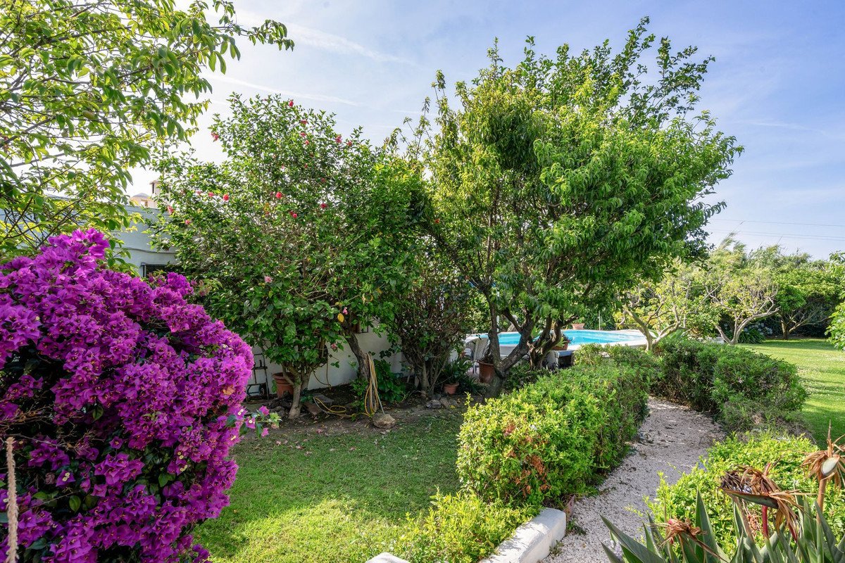 Backyard with lush greenery, purple bougainvillea, and a swimming pool under a clear blue sky.
