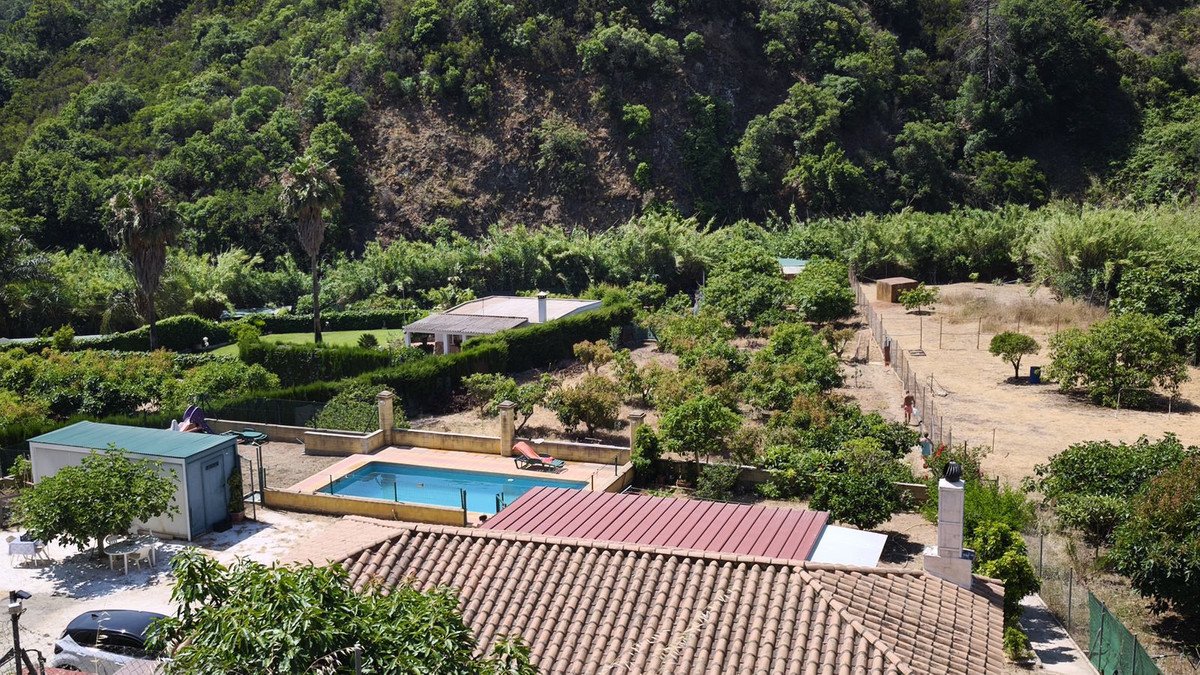 Luxurious swimming pool surrounded by lush greenery and terracotta-roofed buildings