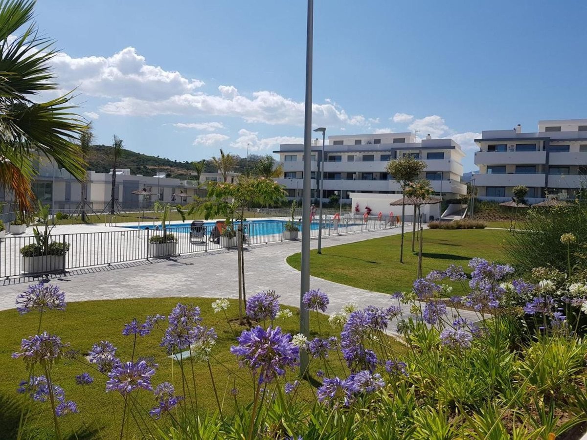 Apartment complex with swimming pool, manicured lawn, flowering plants, and palm trees under a clear blue sky.