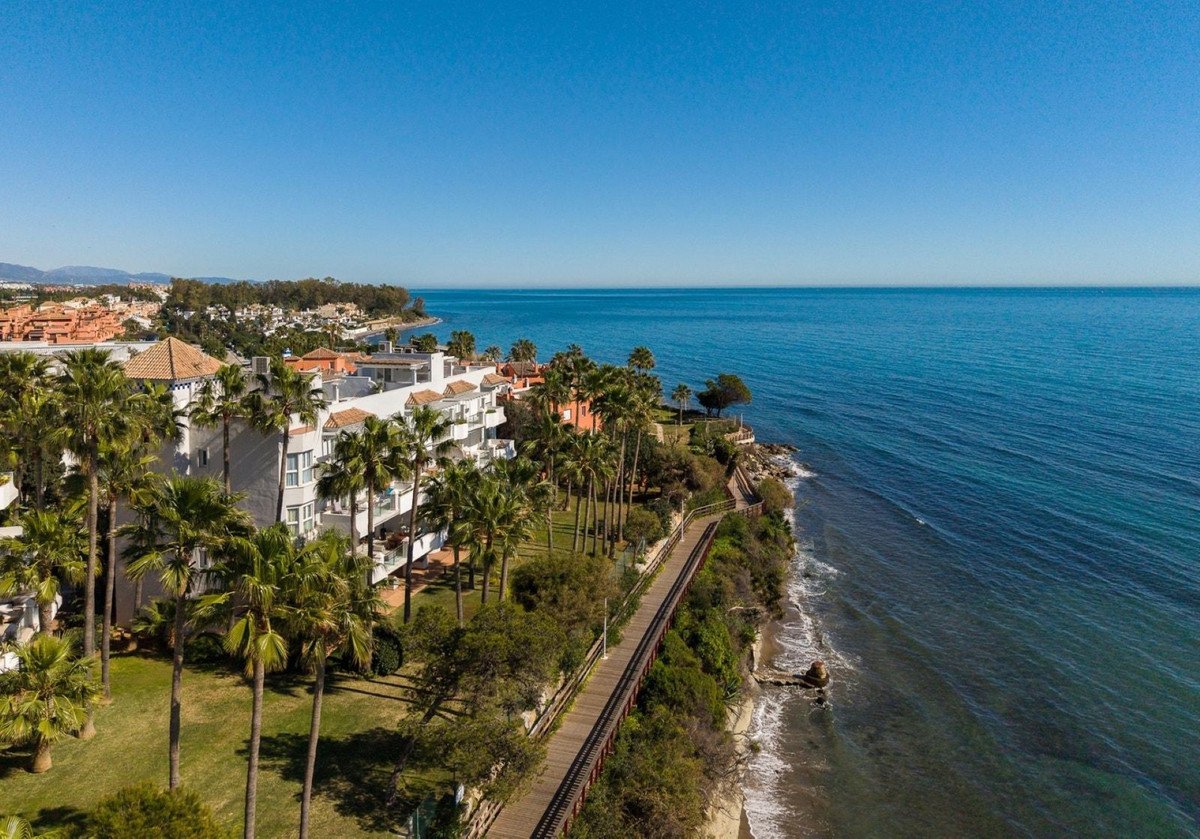 Coastal resort with palm trees and ocean view