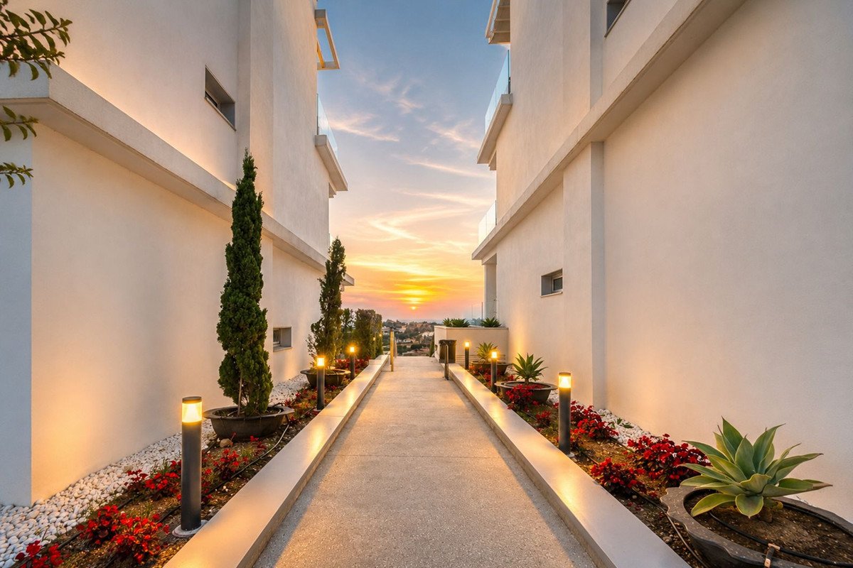Sunset pathway between white walls with red flowers and tall trees