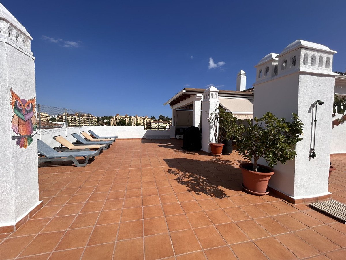 Spacious rooftop terrace with loungers, potted plants, decorative owl mural, and an outdoor shower, overlooking a town.