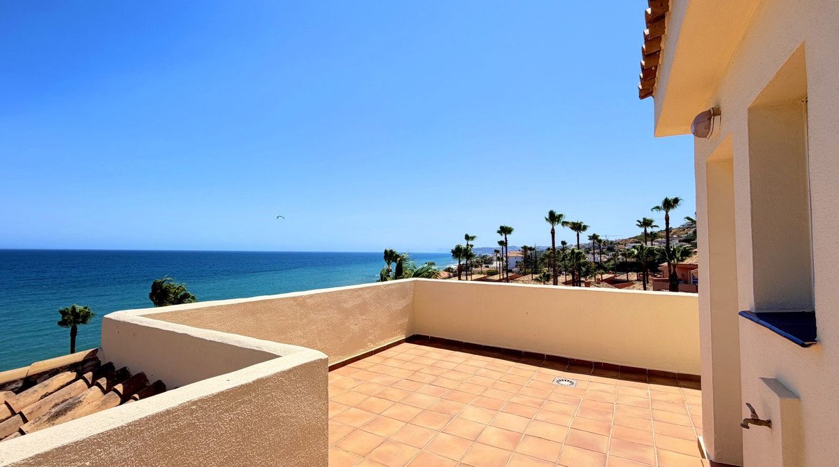A spacious tiled terrace with a beautiful sea view, lined with palm trees under a clear blue sky.
