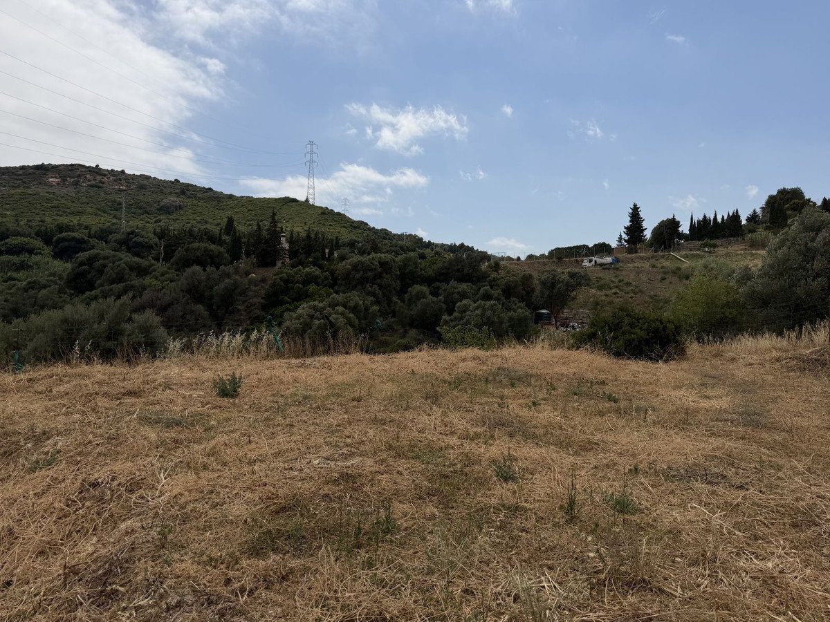 02 photo
