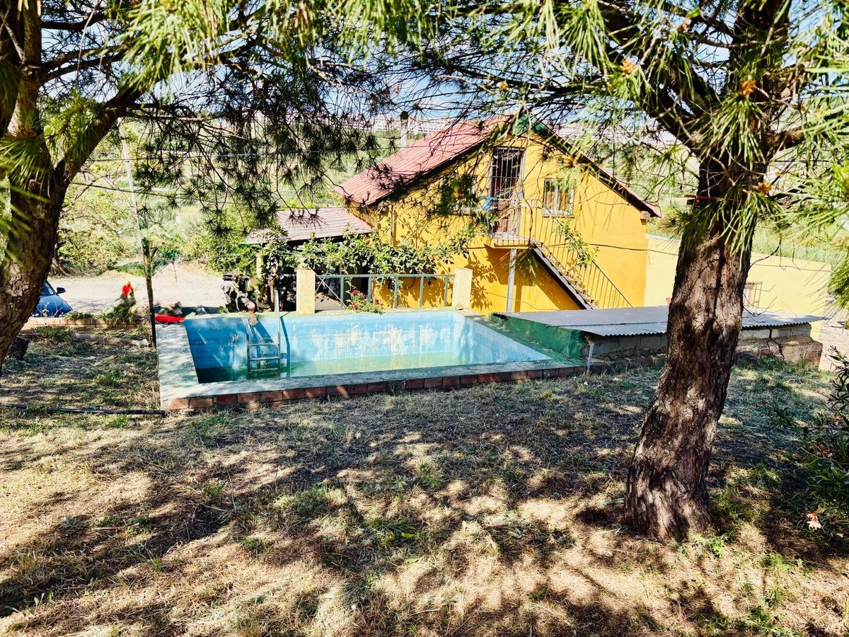 04 photo