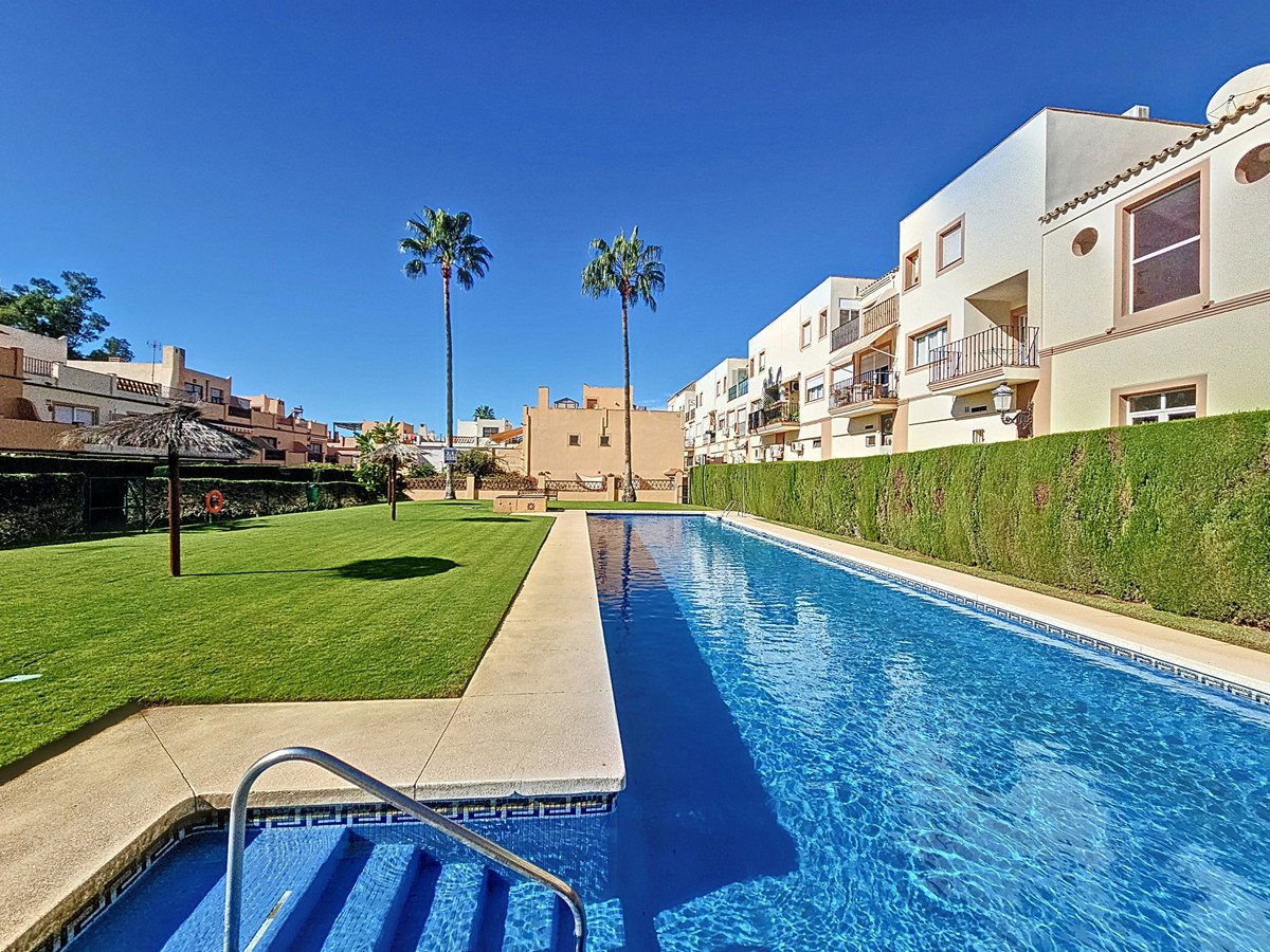 Swimming pool with lush green lawns and palm trees under a clear blue sky