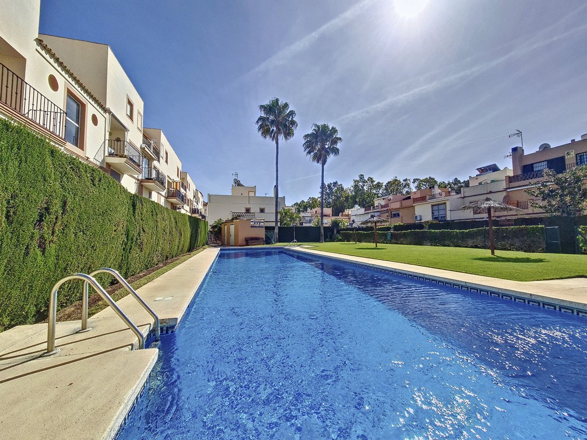 Outdoor swimming pool with palm trees and surrounding buildings under a clear blue sky